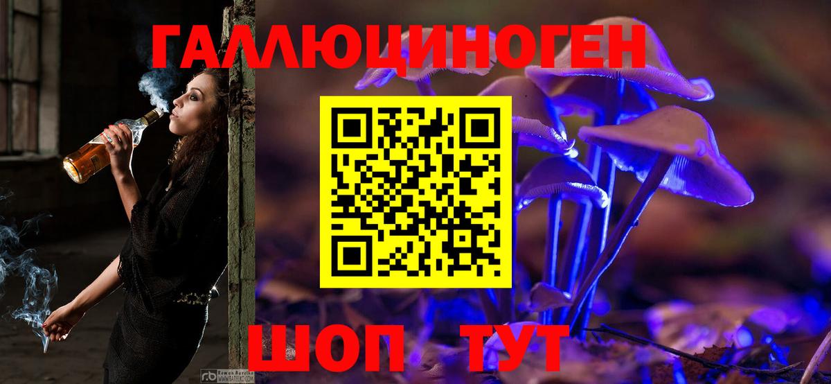 Галлюциногенные грибы ЛСД  Вход с VPN  цены   Новокубанск  Псилоцибиновые грибы MAGIC MUSHROOMS 