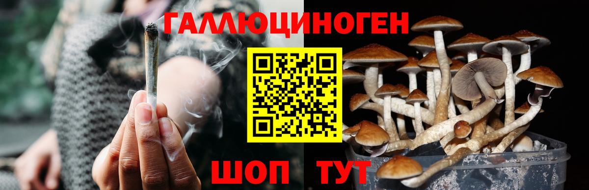 Псилоцибиновые грибы прущие грибы Новокубанск